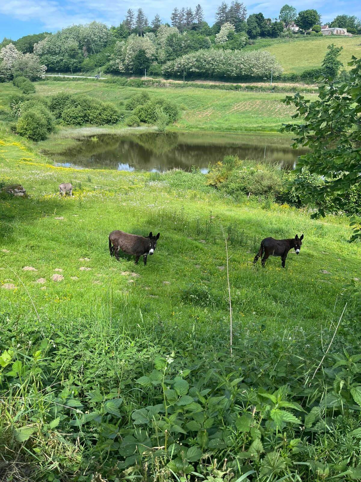Les extérieurs du domaine de la Tardes