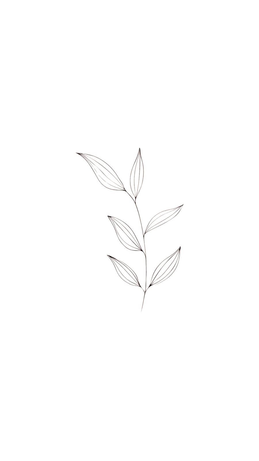 Feuille de basilic