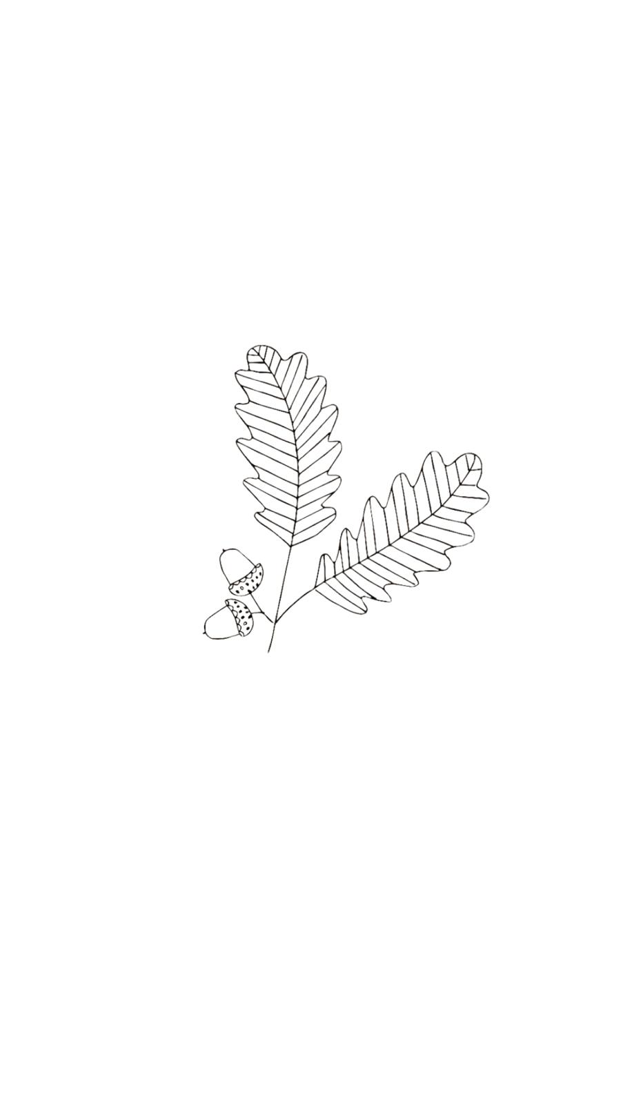 Feuille de thym